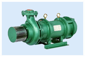 Slow Speed Domestic Self Priming Pump